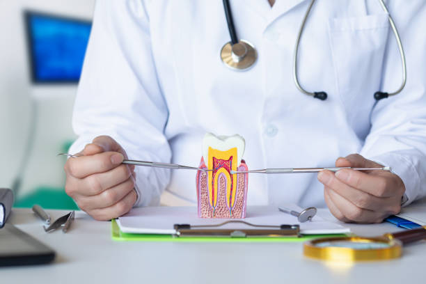 Best Mobile Emergency Dentist in Rosemont, IL